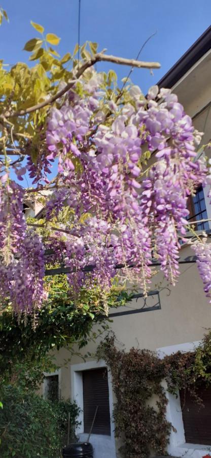Residenza La Dimora Imperfetta Salionze Exterior foto